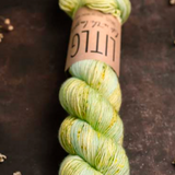 Life in the Long Grass - Moon Sock