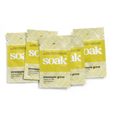 Soak Wool Wash