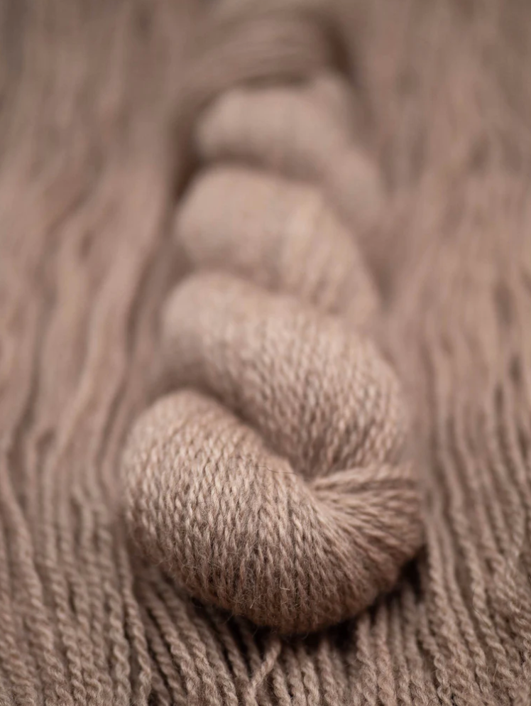 Les Garçons British DK